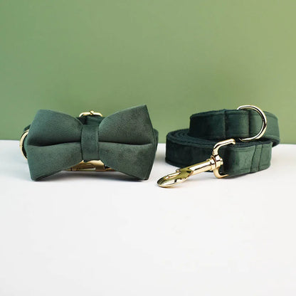 Ensemble collier et laisse pour chien en velours vert foncé avec nœud papillon assorti.