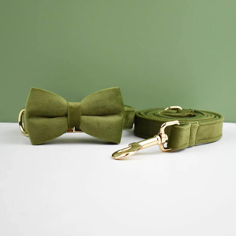 Ensemble collier et laisse pour chien en velours vert kaki avec nœud papillon assorti.