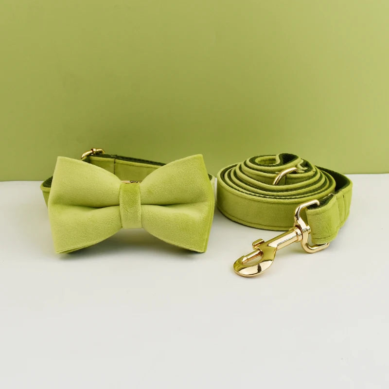 Ensemble collier et laisse pour chien en velours vert olive avec nœud papillon assorti.