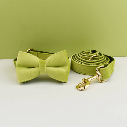 Ensemble collier et laisse pour chien en velours vert olive avec nœud papillon assorti.