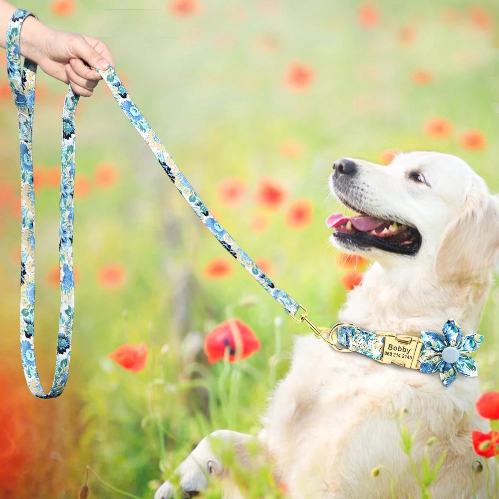 Chien portant un ensemble collier et laisse fleuri bleu avec boucle métal gravée dans un champ.