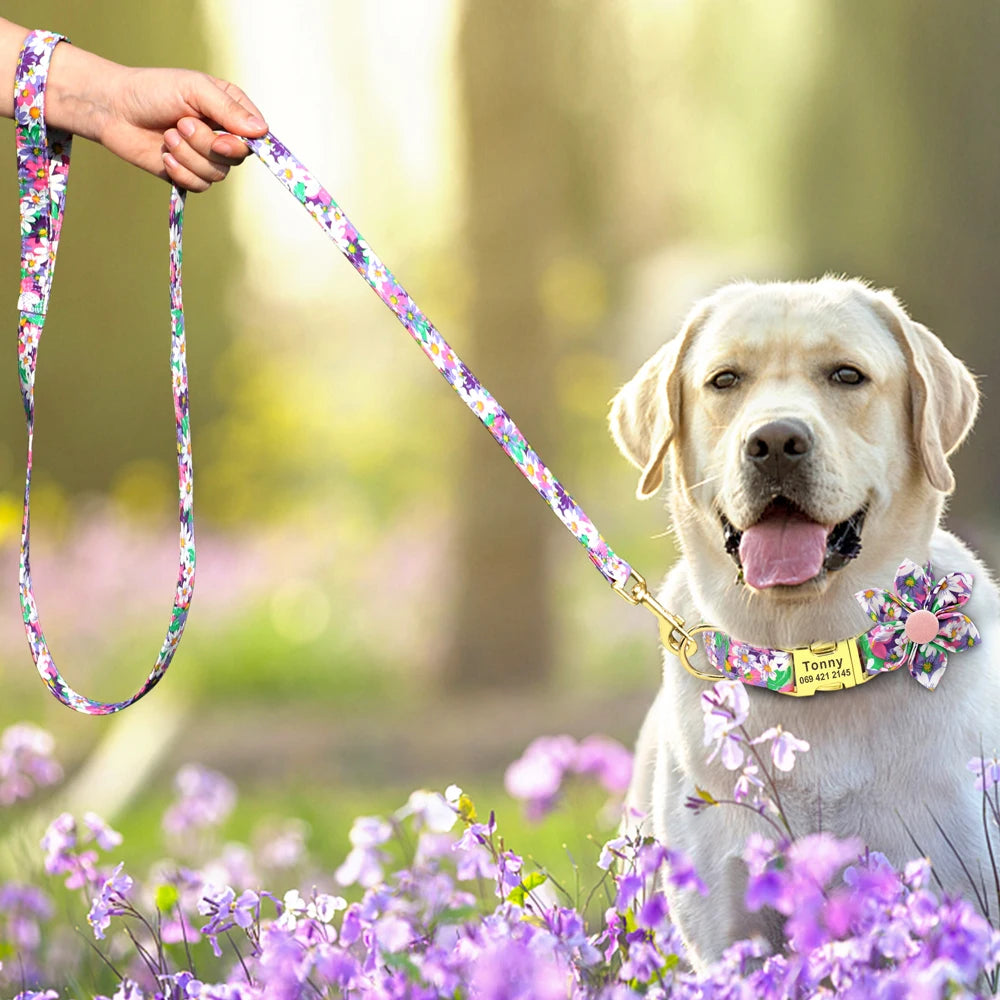 Chien portant un ensemble collier et laisse fleuri violet avec boucle métal gravée dans un champ.
