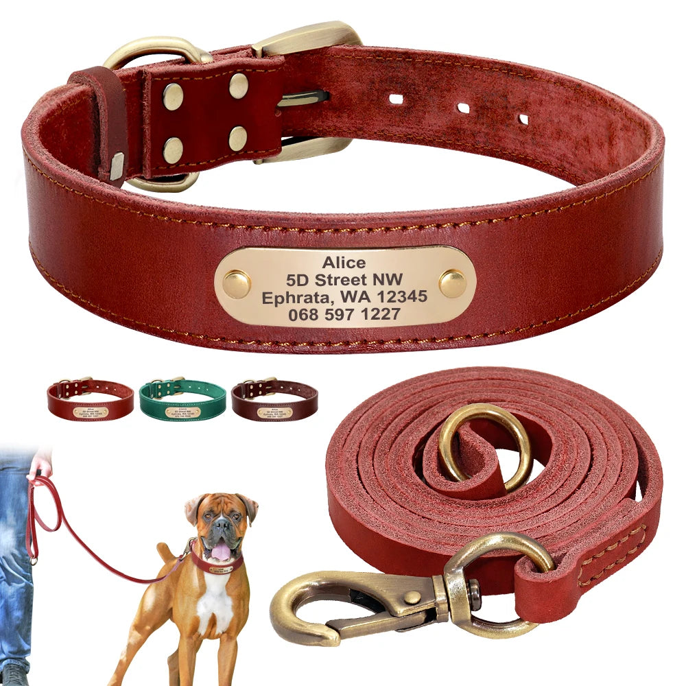 Image produit montrant collier cuir, laisse assortie porté sur un chien marron et options de coloris disponibles en bas de l'image.
