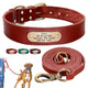 Image produit montrant collier cuir, laisse assortie porté sur un chien marron et options de coloris disponibles en bas de l'image.