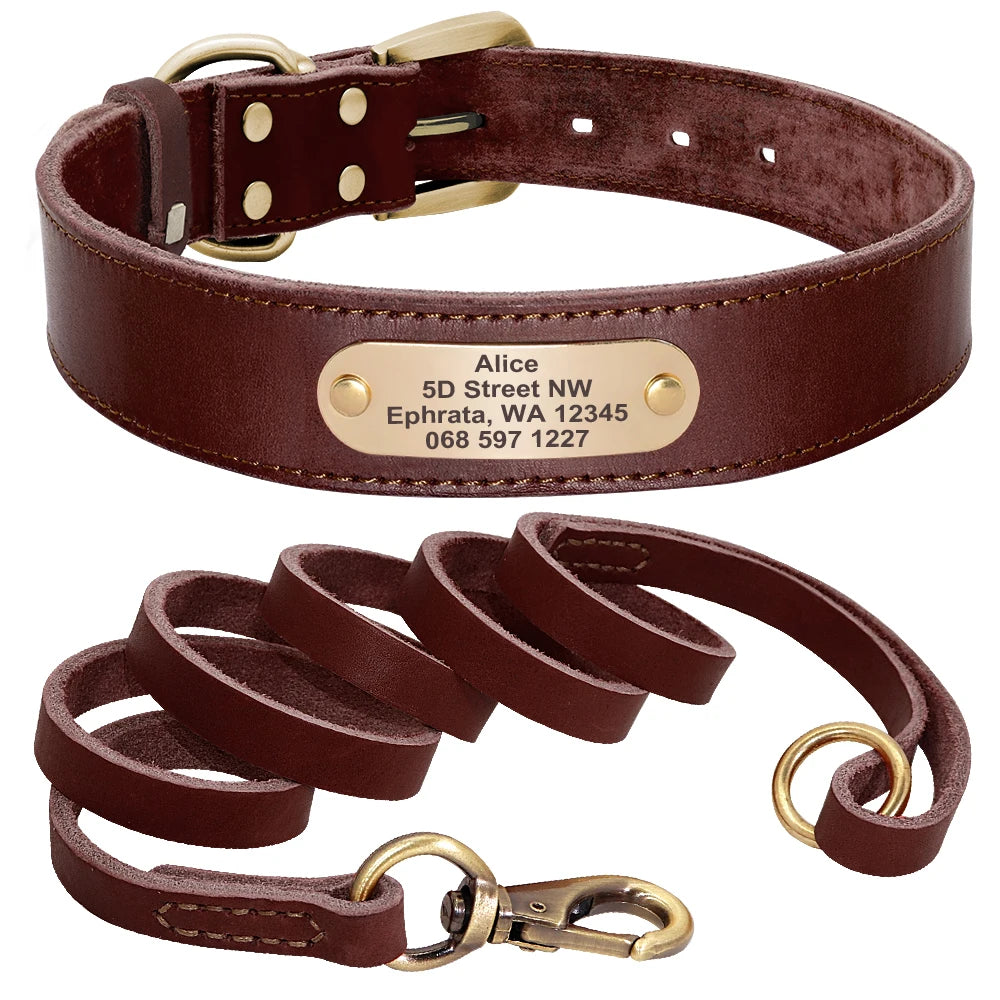 Ensemble collier et laisse pour chien en cuir doux marron avec plaque gravée sur fond blanc.