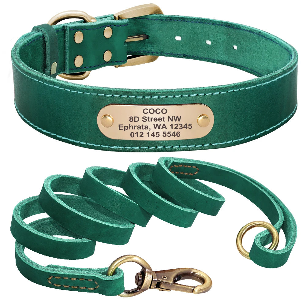 Ensemble collier et laisse pour chien en cuir doux vert avec plaque gravée sur fond blanc.