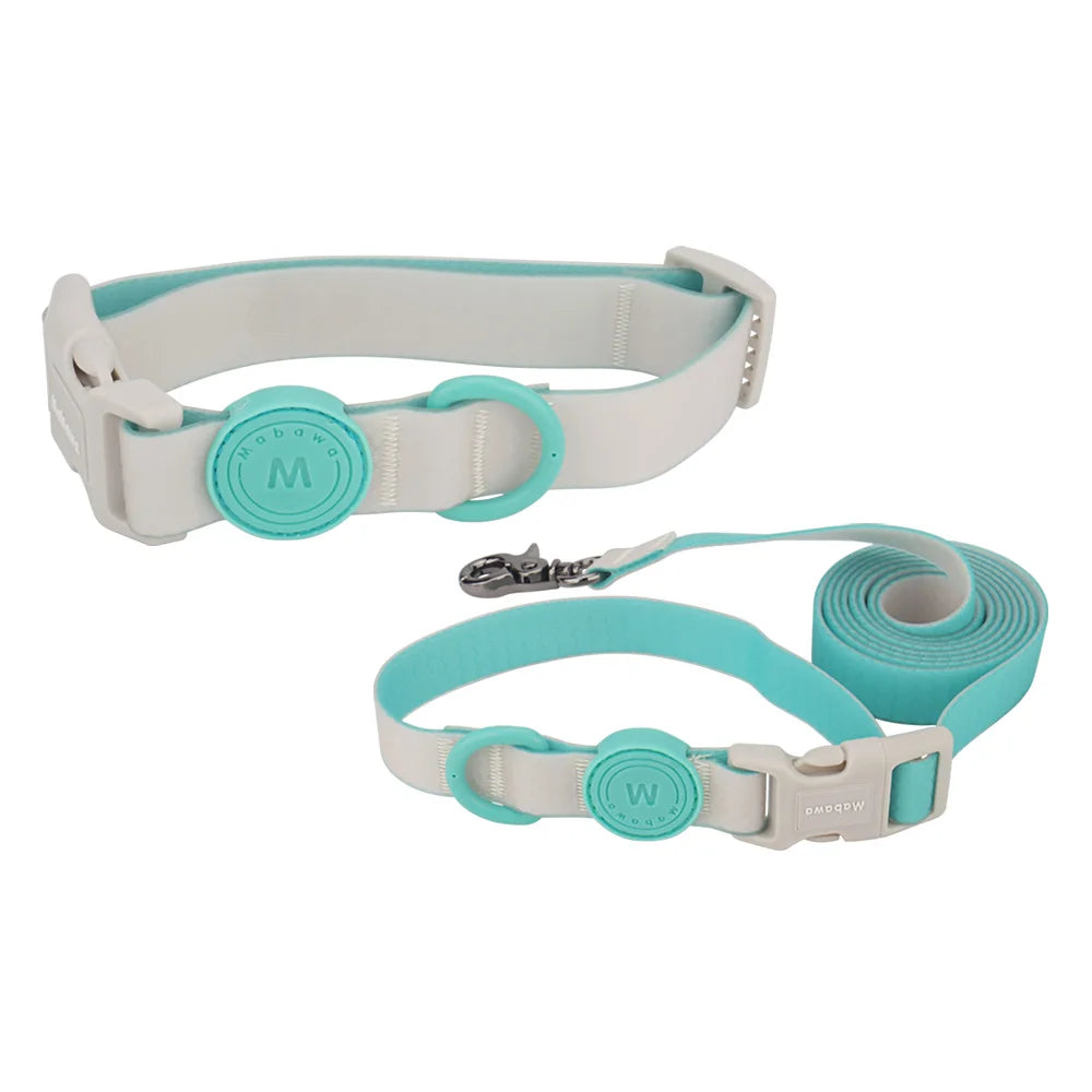 Ensemble collier et laisse pour chien gris et bleu ciel réglable présenté sur fond blanc.