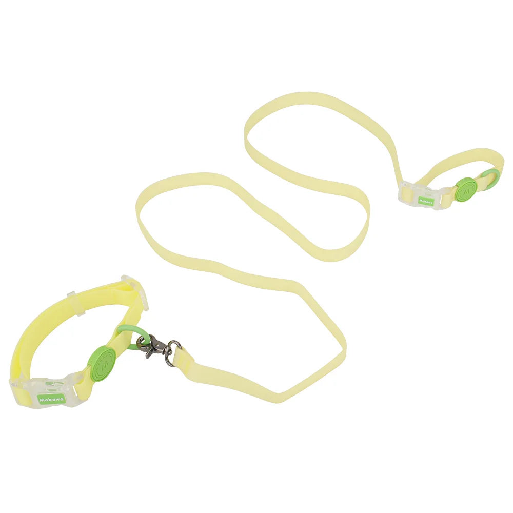 Ensemble collier et laisse pour chien jaune clair et vert avec boucle transparente présenté sur fond blanc.