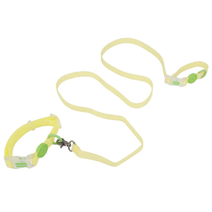 Ensemble collier et laisse pour chien jaune clair et vert avec boucle transparente présenté sur fond blanc.