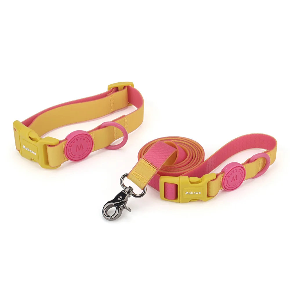 Ensemble collier et laisse pour chien jaune et rose réglable présenté sur fond blanc.