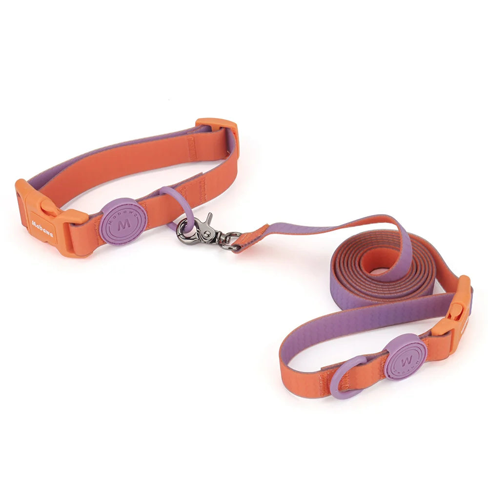 Ensemble collier et laisse pour chien orange et violet réglable présenté sur fond blanc.