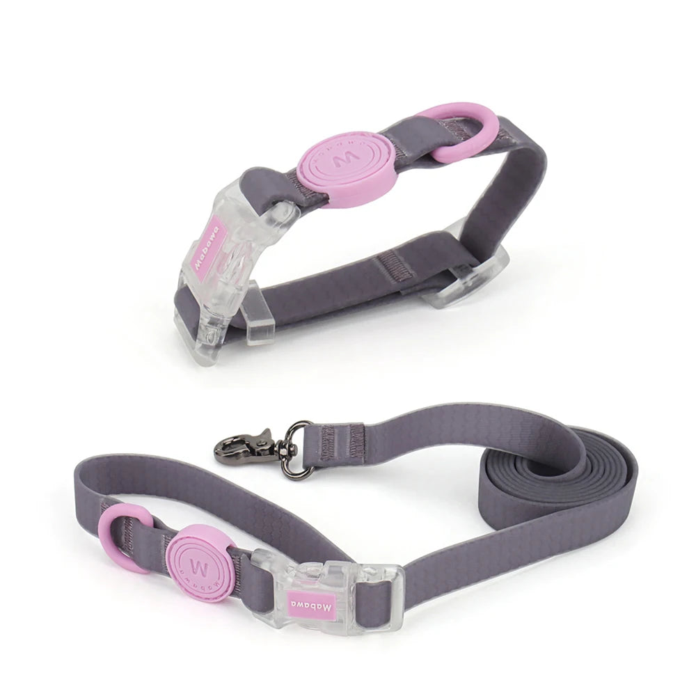 Ensemble collier et laisse pour chien gris et rose avec boucle transparente présenté sur fond blanc.