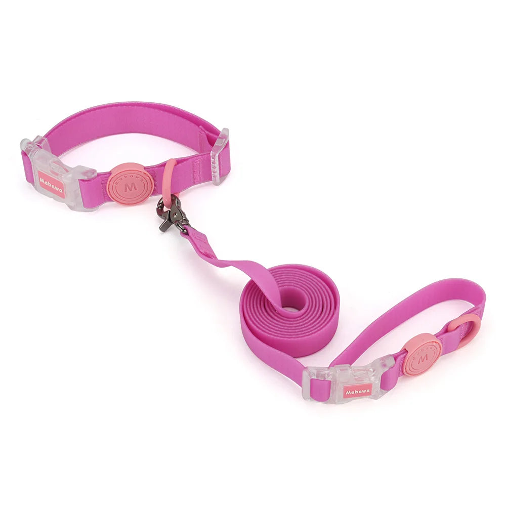 Ensemble collier et laisse pour chien rose avec boucle transparente présenté sur fond blanc.