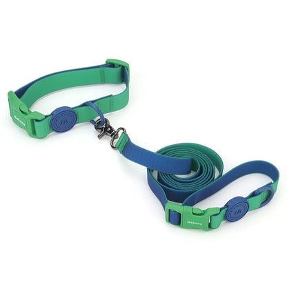 Ensemble collier et laisse pour chien vert et bleu réglable présenté sur fond blanc.
