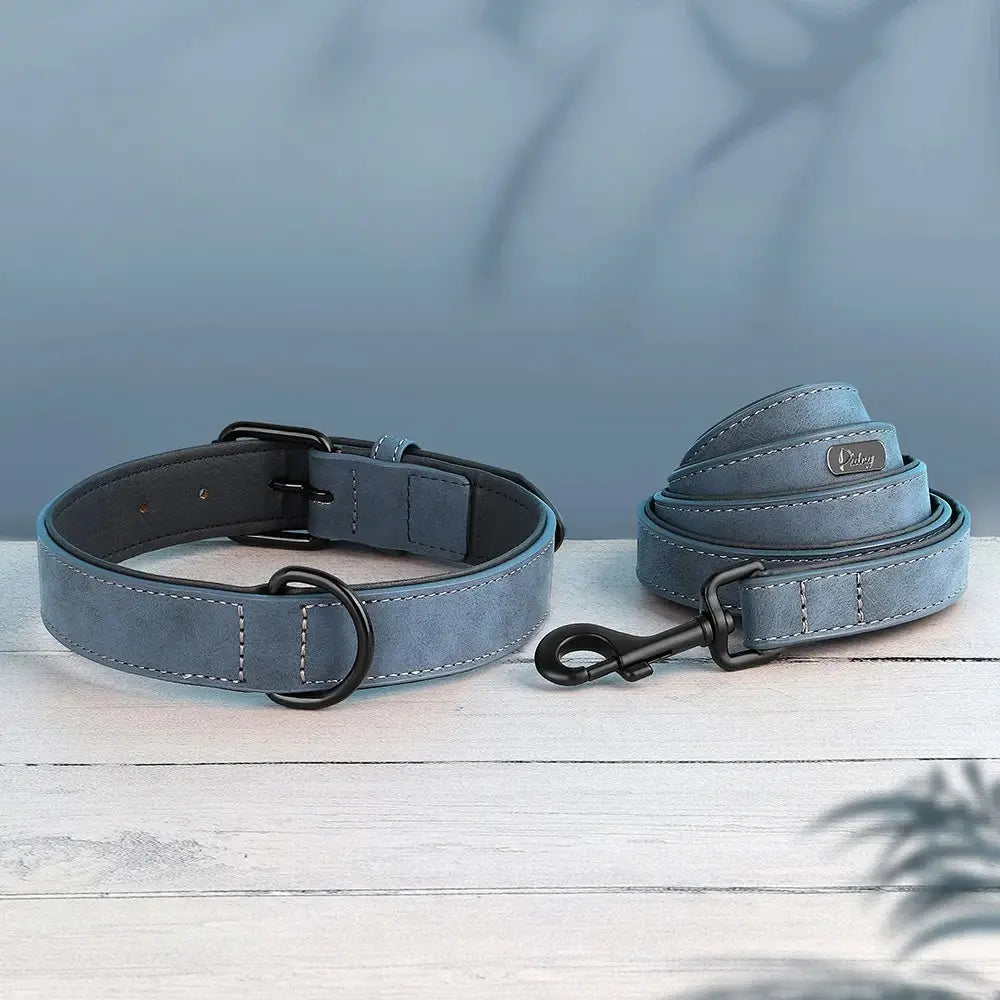 Ensemble collier et laisse bleu pour chien présenté comme facile à mettre sur und parquet en bois gris et devant un fond bleu.