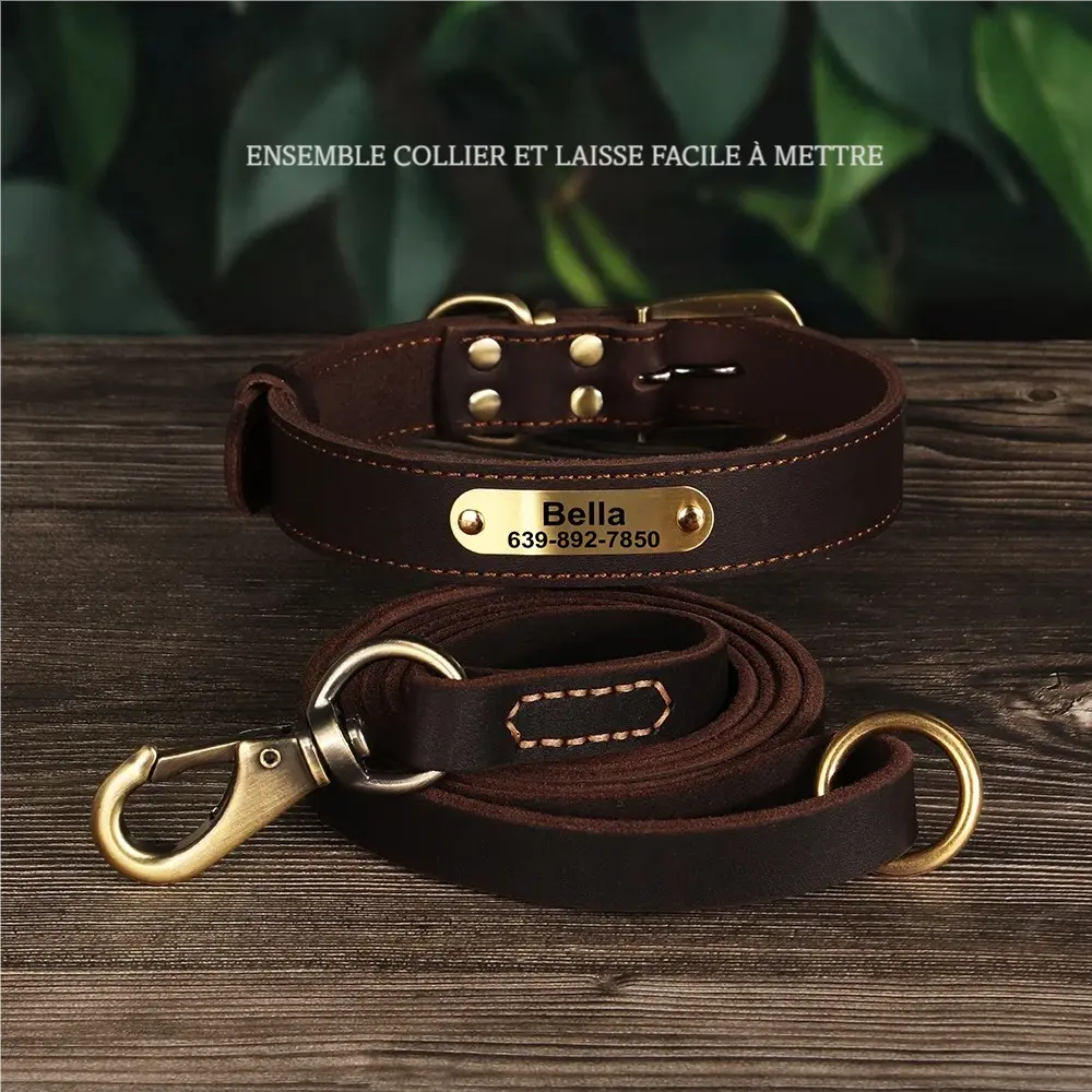 Ensemble collier et laisse chien en cuir personnalisable avec plaque gravée