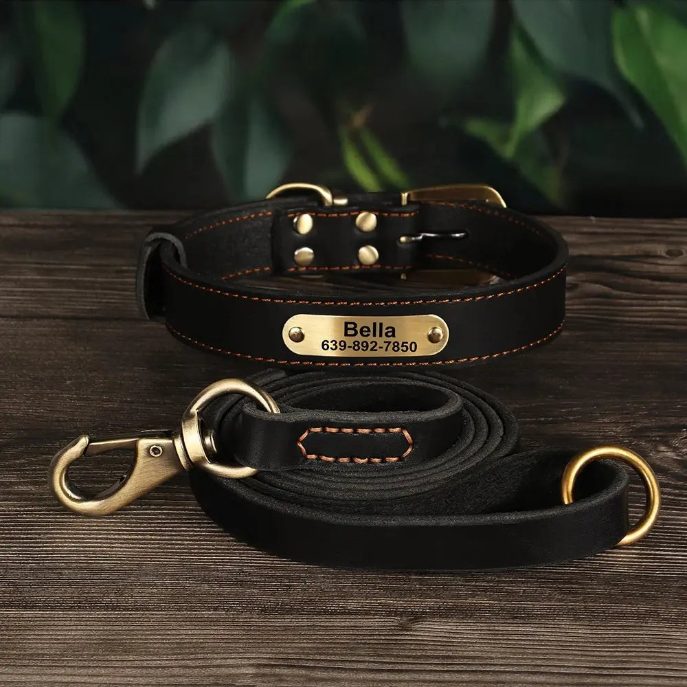 Ensemble collier et laisse pour chien en cuir noir présenté comme facile à mettre et posé sur un fond bois foncé.
