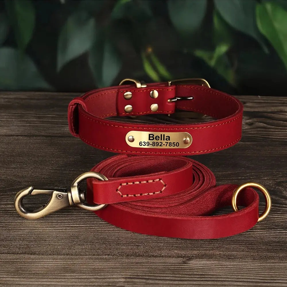 Ensemble collier et laisse pour chien en cuir rouge présenté comme facile à mettre et posé sur un fond bois foncé.