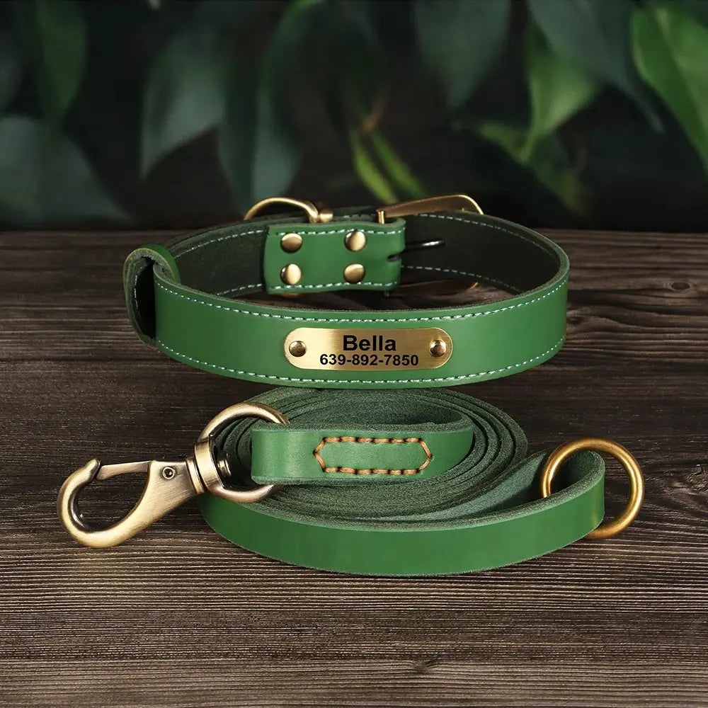 Ensemble collier et laisse pour chien en cuir vert présenté comme facile à mettre et posé sur un fond bois foncé.