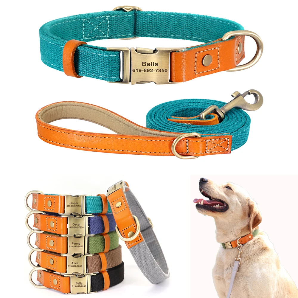 Visuel produit du collier et de la laisse pour chien coloris turquoise avec les autres coloris de colliers présentés en bas de l'image.