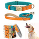Visuel produit du collier et de la laisse pour chien coloris turquoise avec les autres coloris de colliers présentés en bas de l'image.
