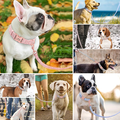 Montage de plusieurs chiens portant l’ensemble collier et laisse personnalisé.