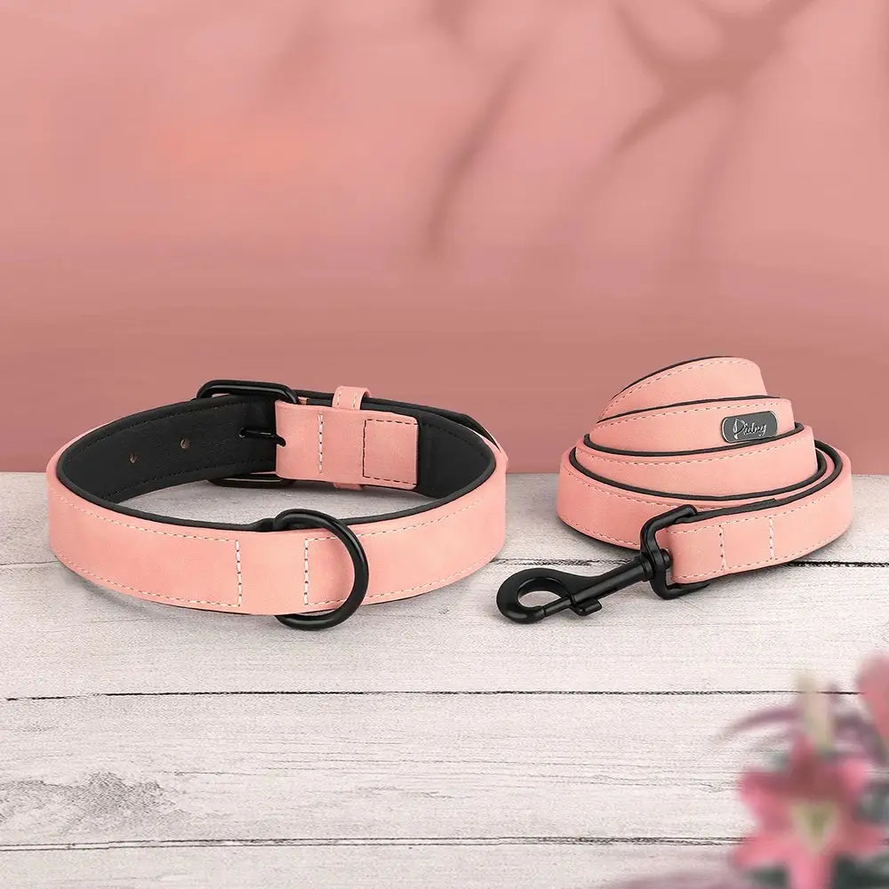 Ensemble collier et laisse rose pour chien présenté comme facile à mettre sur und parquet en bois gris et devant un fond rose.