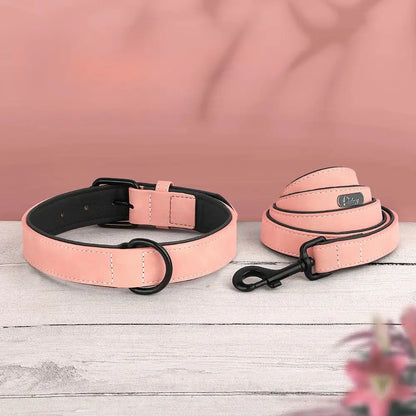 Ensemble collier et laisse rose pour chien présenté comme facile à mettre sur und parquet en bois gris et devant un fond rose.