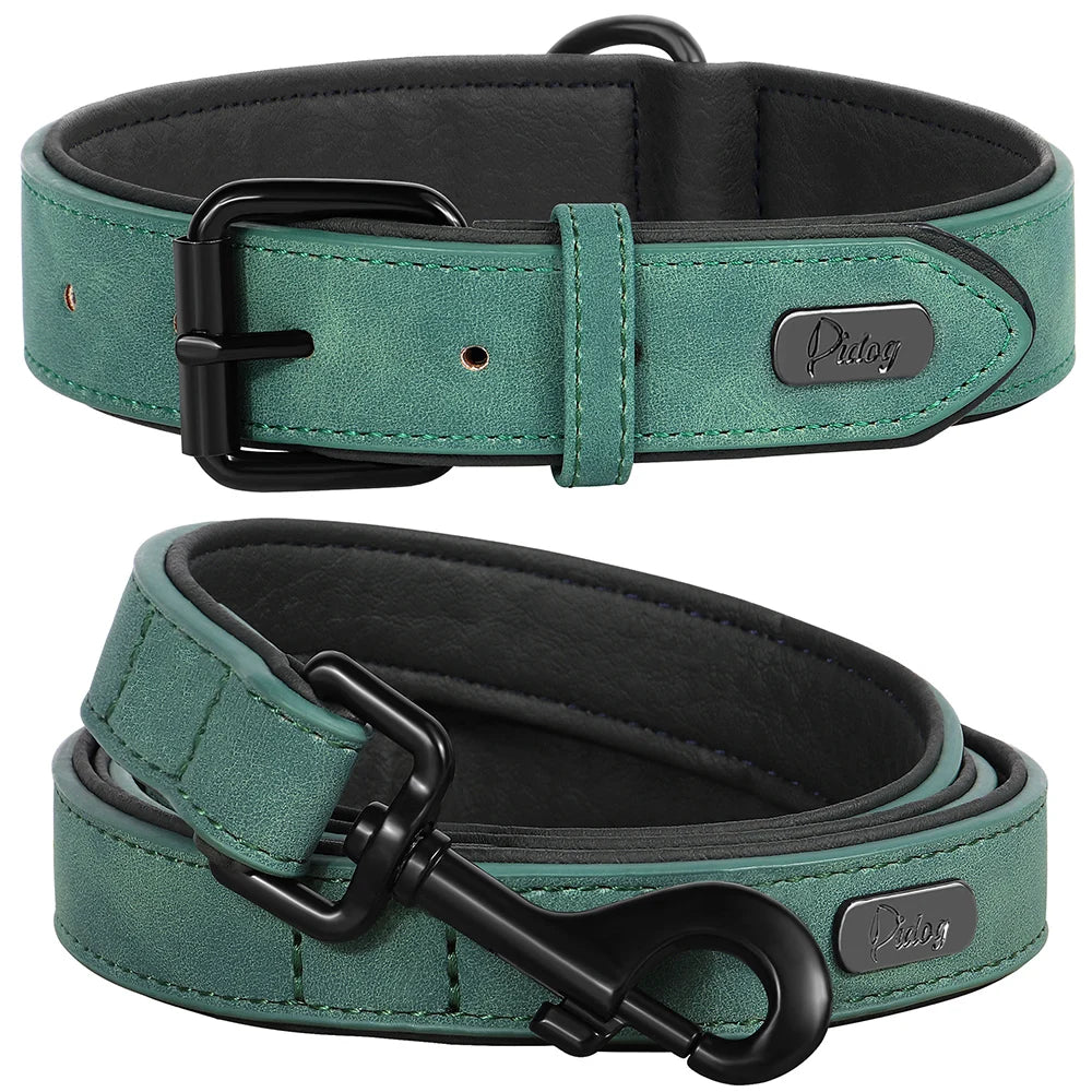Vue produit de l'ensemble collier et laisse vert pour chien avec boucle métal noir présenté sur un fond blanc.
