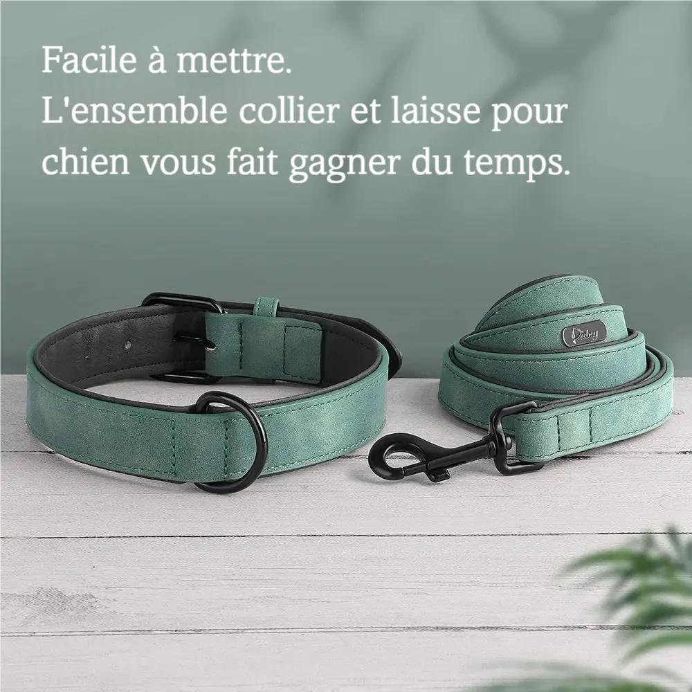 Ensemble collier et laisse vert pour chien présenté comme facile à mettre sur und parquet en bois gris et devant un fond vert.