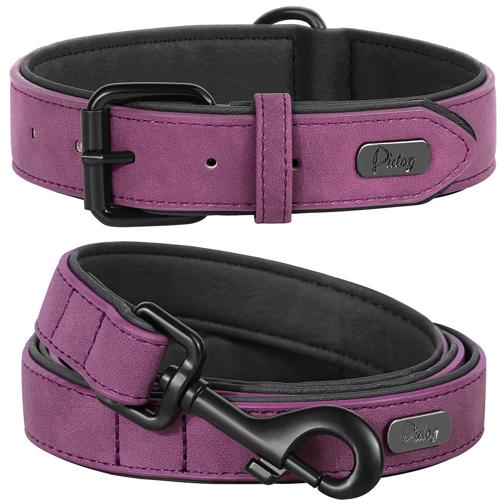 Vue produit de l'ensemble collier et laisse violet pour chien avec boucle métal noir présenté sur un fond blanc.