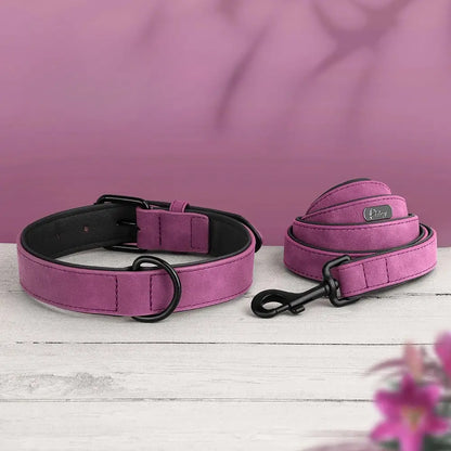 Ensemble collier et laisse violet pour chien présenté comme facile à mettre sur und parquet en bois gris et devant un fond violet.