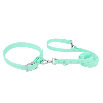 Ensemble collier et laisse imperméable pour chien en PVC pastel avec bouclerie argentée.