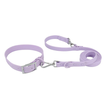 Ensemble collier et laisse imperméable pour chien en PVC violet avec bouclerie argentée.