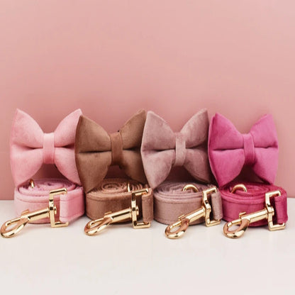 Ensembles collier et laisse pour chien en velours avec nœud papillon.