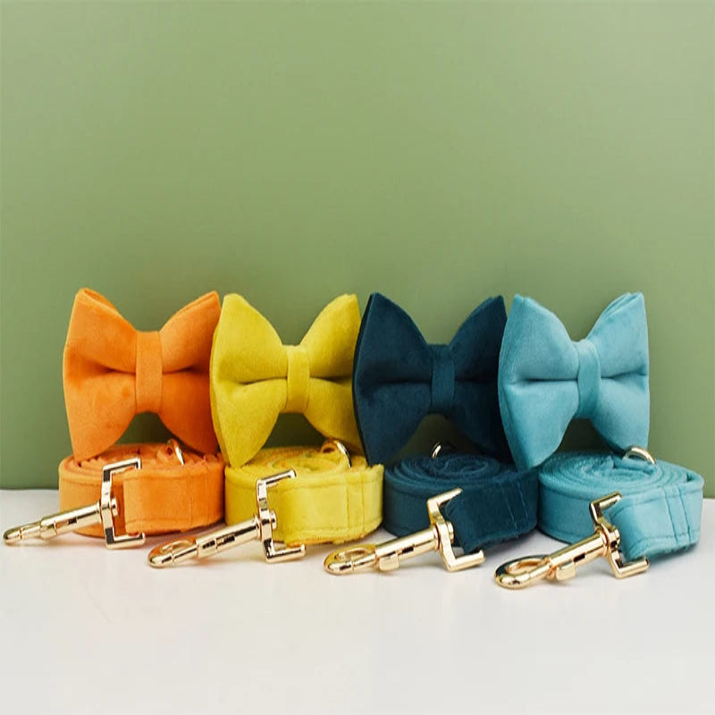 Ensembles collier et laisse pour chien en velours avec nœud papillon alignés sur fond vert.
