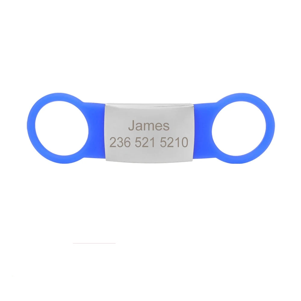 Étiquette bleue pour collier de chien avec plaque argentée gravée James sur fond blanc.