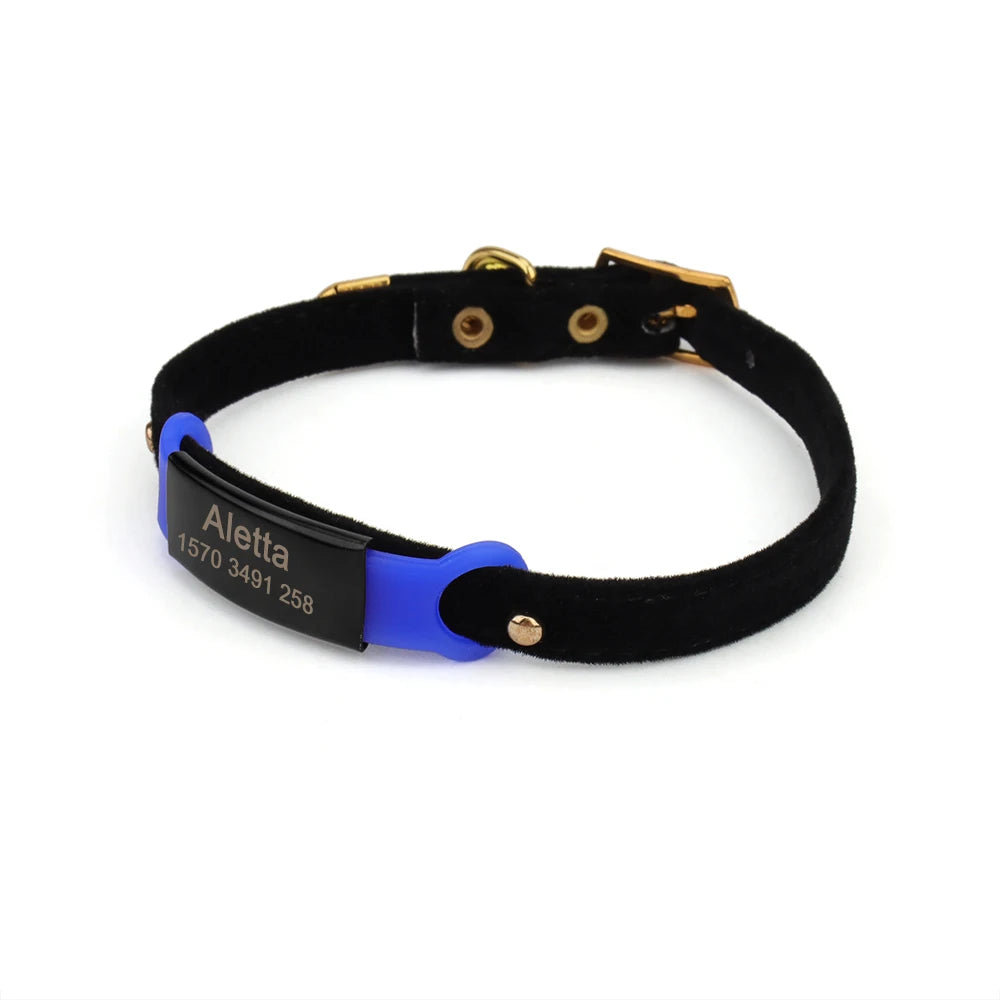 Exemple d'étiquette bleue personnalisée fixée sur un collier noir sur fond clair.
