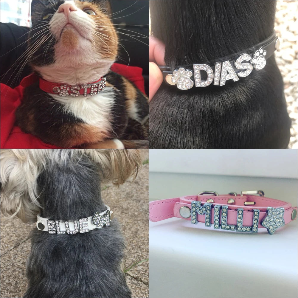 Montage de photos montrant différents animaux portant un collier en cuir PU personnalisé.