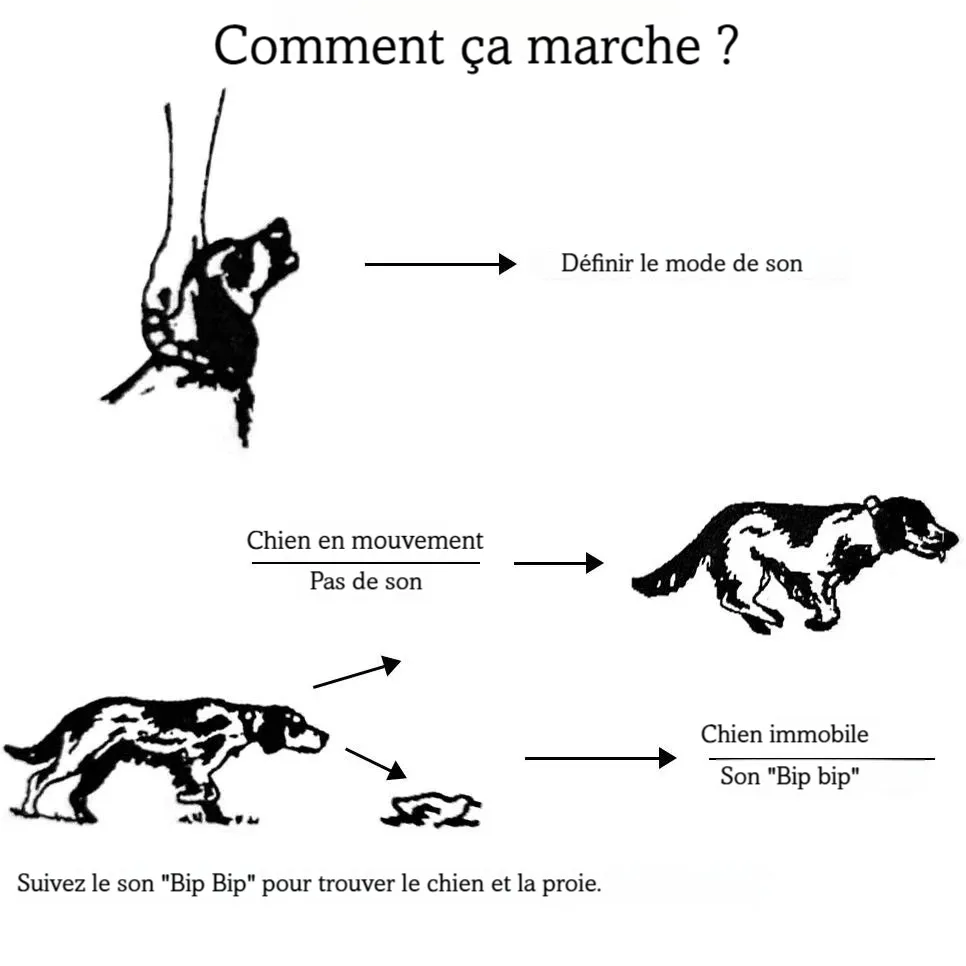 Schéma expliquant le fonctionnement du collier beeper pour chien de chasse sur fond blanc.