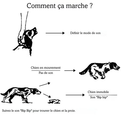 Schéma expliquant le fonctionnement du collier beeper pour chien de chasse sur fond blanc.