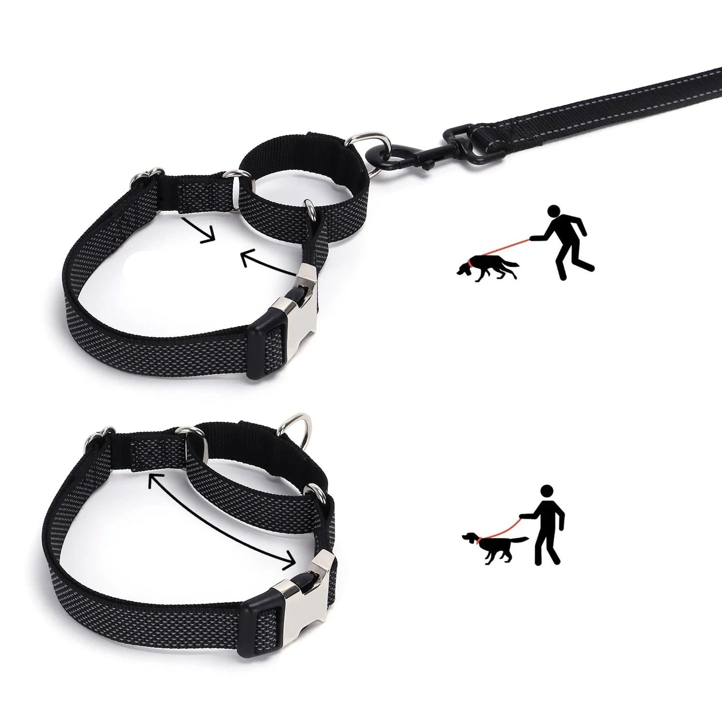 Schéma du fonctionnement d’un collier martingale anti-traction pour chien sur fond blanc.