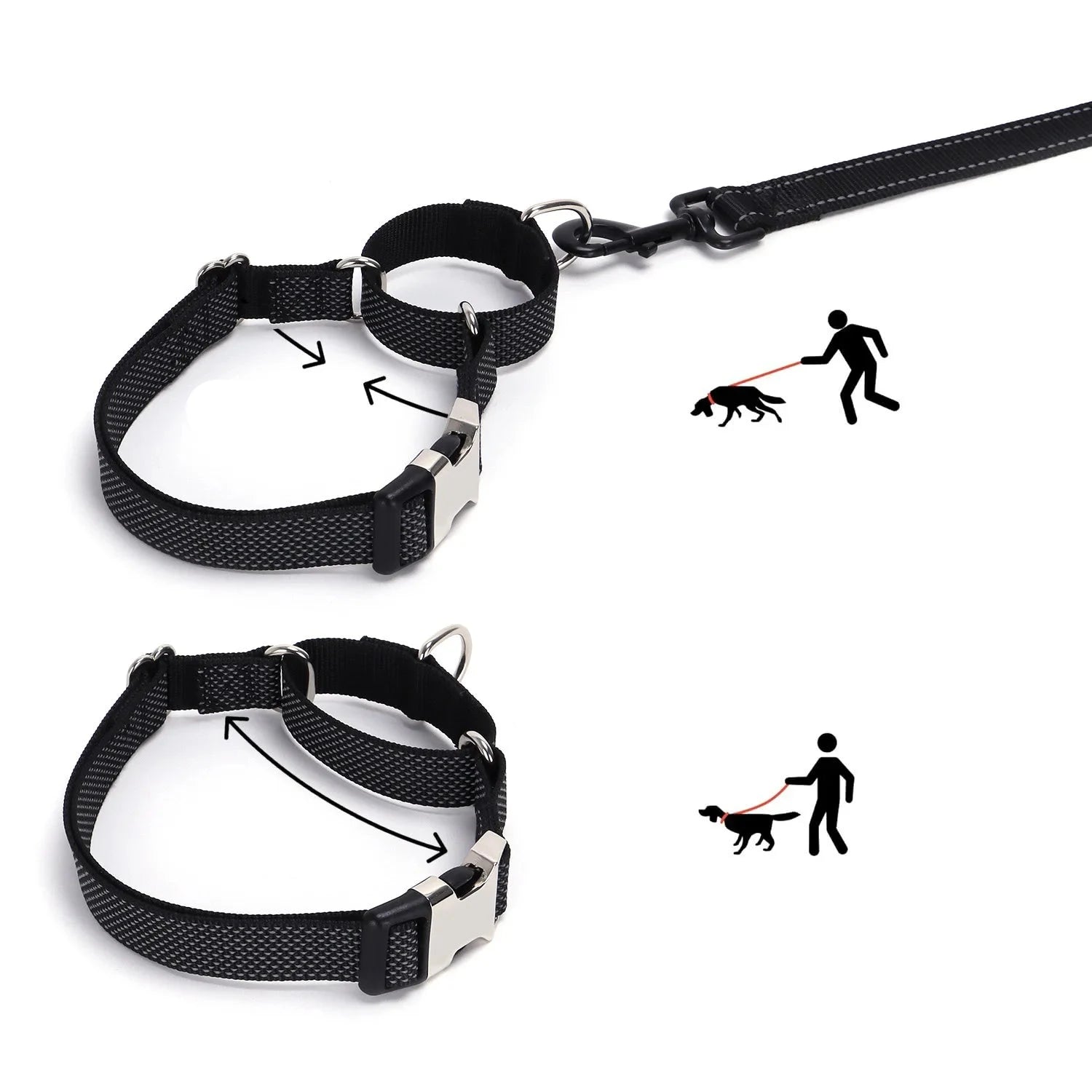 Schéma du fonctionnement d’un collier martingale anti-traction pour chien sur fond blanc.