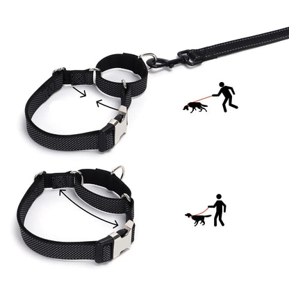 Schéma du fonctionnement d’un collier martingale anti-traction pour chien sur fond blanc.
