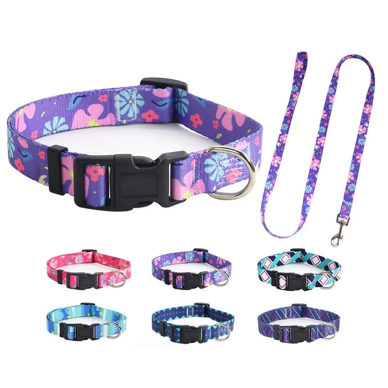 Collection complète de colliers pour chien et laisses présentée en six coloris avec imprimés variés sur fond clair.