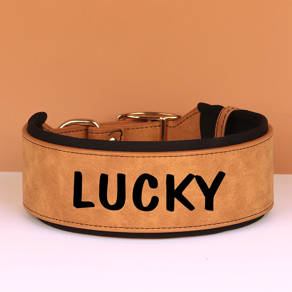 Large collier beige pour chien avec le nom Lucky en noir.