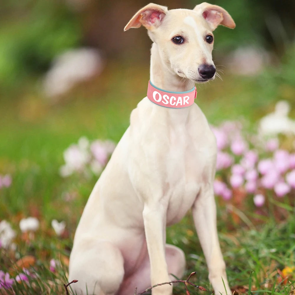 Grand collier pour chien personnalisé en cuir PU rose porté par un chien dans un jardin.