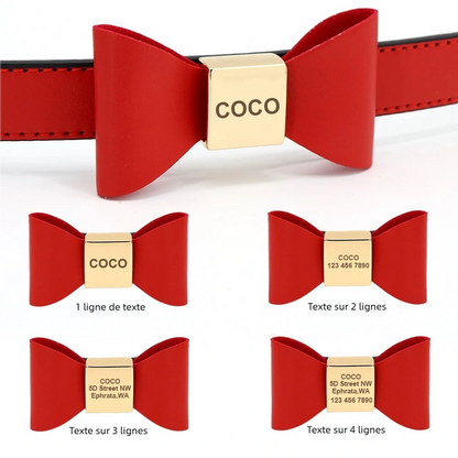Visuel montrant différentes lignes de texte pour personnaliser la plaque gravée du collier