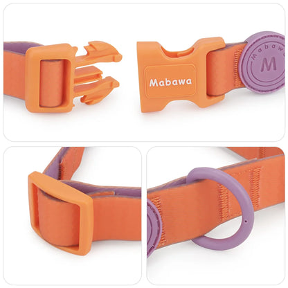Gros plan sur la boucle clip et l’anneau en D du collier chiot waterproof.