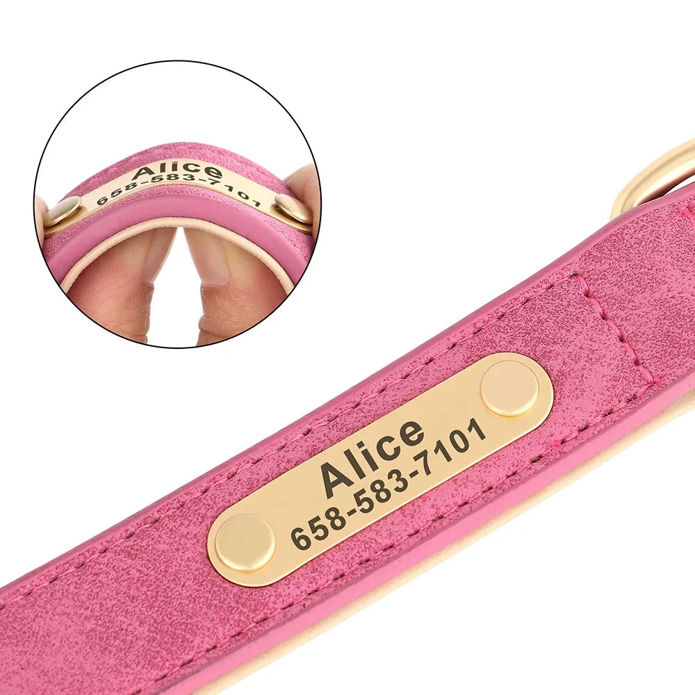 Gros plan sur la plaque dorée gravée flexible d’un collier rose personnalisé pour chien.